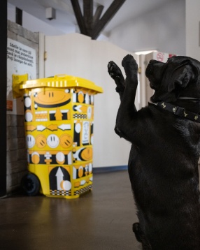 23 de agenții de publicitate și PR locale au strâns aproximativ 100 de kilograme de plastic în proiectul Plasti Prix