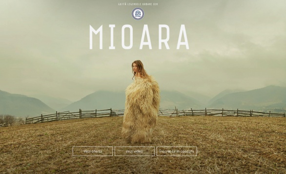 TOP 3 ADC*RO // NOIEMBRIE 2019