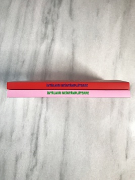 Întâlniri neîntâmplătoare: Nina Cassian o întâlnește pe Yvonne Hasan