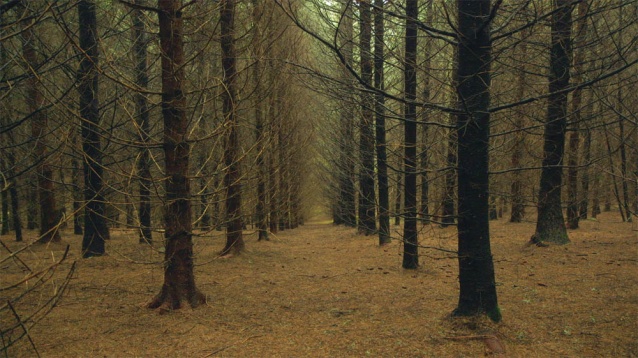 Documentarul Superhombre, despre alpinistul Horia Colibășanu, deschide cea de-a 5-a ediție ALPIN FILM FESTIVAL