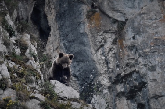 Documentarul Superhombre, despre alpinistul Horia Colibășanu, deschide cea de-a 5-a ediție ALPIN FILM FESTIVAL