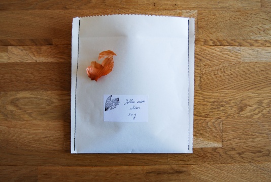 Atelier Tron propune un crisis kit care să ne ajute să valorificăm zilele de izolare