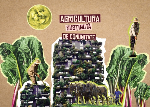 Hrană sănătoasă cu Asociația de Susținere a Agriculturii Țărănești 