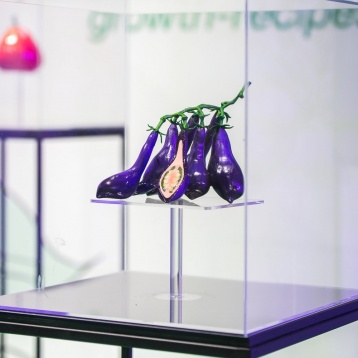  Romanian Design Week și Qreator by IQOS prezintă online expoziția Future Food Formula, parte a DESIGN FLAGS, o nouă categorie a festivalului