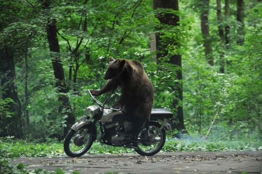 Made in RO – weekend cu filme românești pe TIFF Unlimited