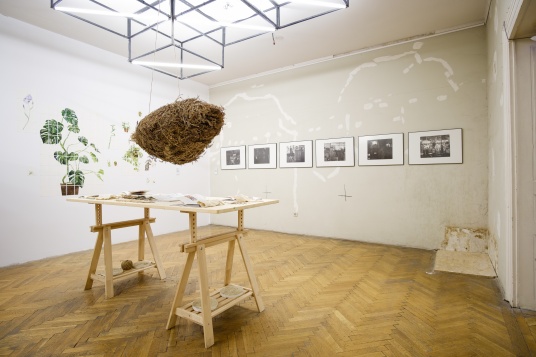 (DEADLINE EXTENSION) DIPLOMA deschide înscrierile pentru lucrările de absolvire ale promoției 2020