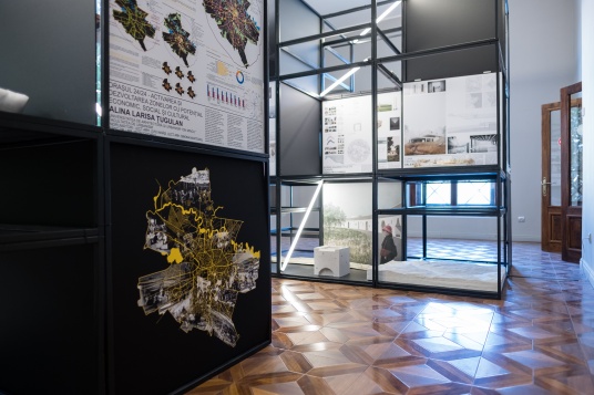 (DEADLINE EXTENSION) DIPLOMA deschide înscrierile pentru lucrările de absolvire ale promoției 2020