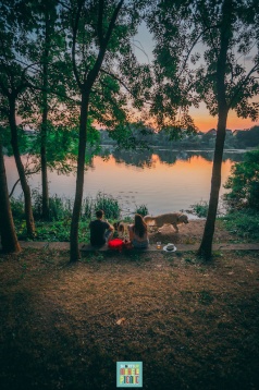 Marele Picnic devine Micul Picnic ShortsUP online: a 7-a ediție are loc pe 25 iulie