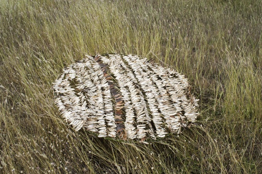 Disertații Arte Textile Ambientale la UNAgaleria 