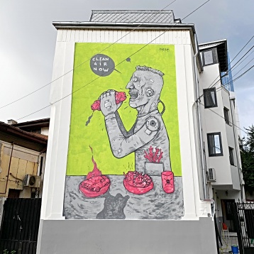 Street Delivery 2020: râu pentru oameni, cinematograf între blocuri, cartiere activate, ziduri colorate