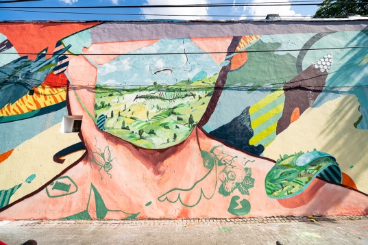 Street Delivery 2020: râu pentru oameni, cinematograf între blocuri, cartiere activate, ziduri colorate