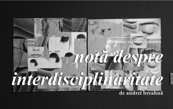 DIPLOMA Viewing Rooms // Notă despre interdisciplinaritate, o colecție de lucrări de artă curatoriată de Andrei Breahnă