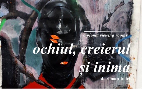 DIPLOMA Viewing Rooms // Ochiul, creierul și inima, o colecție de lucrări de artă îngrijită de Roman Tolici