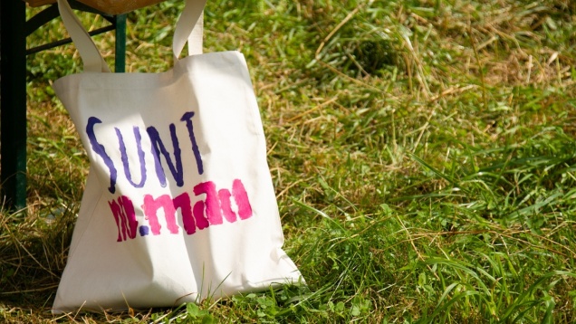  Trei briefuri de la antreprenori au fost soluționate de freelanceri la NO.MAD Outdoor Camp