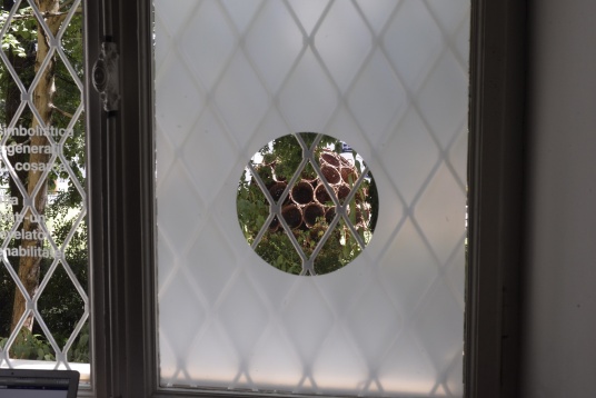  De ce ne rabdă Pământul? | Expoziție – argument la Muzeul Antipa 