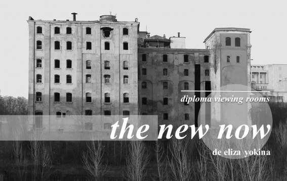 DIPLOMA Viewing Rooms // The New Now, o colecție de lucrări de arhitectură îngrijită de Eliza Yokina