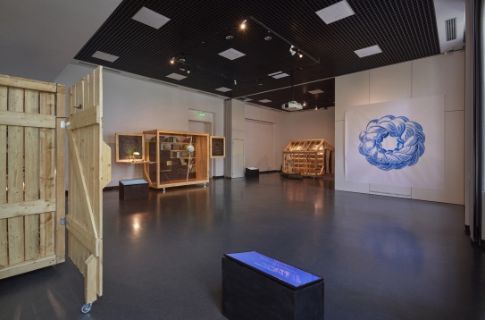 DE CE NE RABDĂ PĂMÂNTUL? expoziție de Teodor Frolu și Dan Vezentan