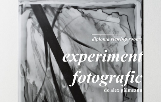 DIPLOMA Viewing Rooms a conturat în perioada 21 iulie – 25 august o platformă de expoziții online de artă, arhitectură și design 