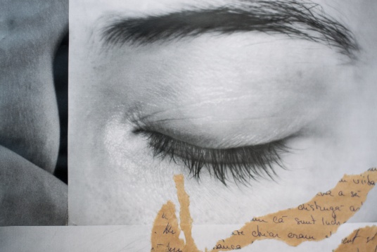 DIPLOMA Viewing Rooms a conturat în perioada 21 iulie – 25 august o platformă de expoziții online de artă, arhitectură și design 