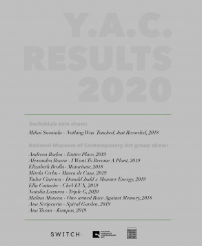 Expozițiile Young Artists Connections - noua generație de artiști vizuali 