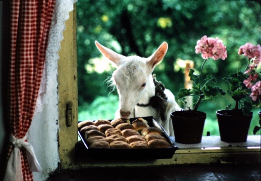 Lupta continuă pentru libertate - The Man Who Would Be Free & A Cottage Near the Woods