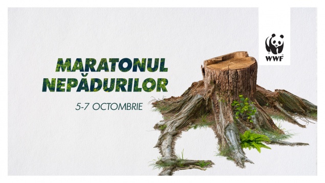 TOP 3 ADC*RO // OCTOMBRIE 2020