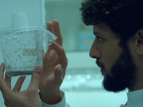 Utopie versus distopie în Competiția Internațională BIEFF 2020