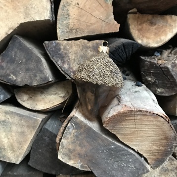 Recomandări pentru Crăciun: 1981, Lucruri neuitate