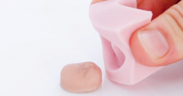 Dreams Made Flesh (Vise încarnate)