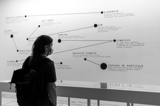 Cum a fost la rezidențele artistice Fusion AIR