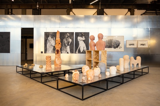 Record de înscrieri la DIPLOMA 2021