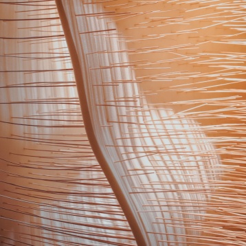 Se deschide spațiul The Institute la Combinatul Fondului Plastic