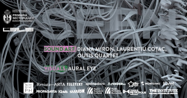 SEEN. Audio performance și visual mapping la Galeria Leilei din București