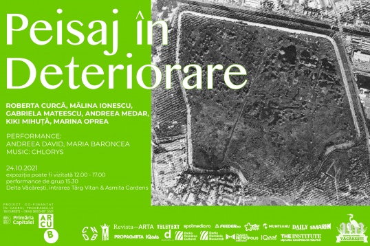 Peisaj în deteriorare @ Parcul Natural Văcărești