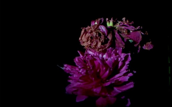 Începe cea de-a 11-a ediție BIEFF!