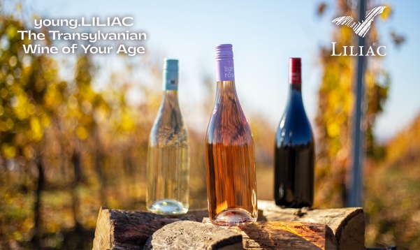 Crama Liliac aniversează 10 ani de young.LILIAC printr-o ediție inedită a concursului de design de etichetă 