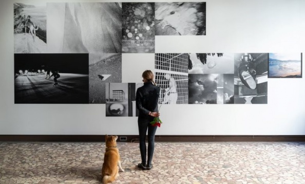 Finisaj expoziție „de acolo de unde încă se poate vedea curbura pământului” 