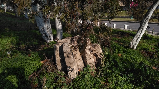ARCUB | NOUA GRĂDINĂ BOTANICĂ | NOUL BAUHAUS EUROPEAN 
