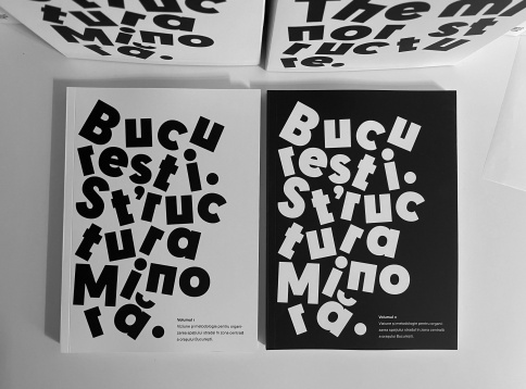 STRUCTURA MINORĂ BUCUREȘTI | NOUL BAUHAUS EUROPEAN