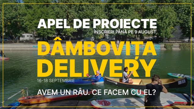Apel de proiecte DÂMBOVIȚA DELIVERY 2022