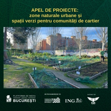 Platforma de Mediu pentru București | NOUL BAUHAUS EUROPEAN 