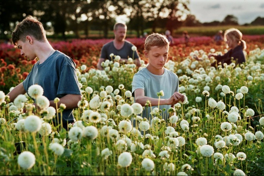 S-au pus în vânzare biletele pentru Les Films de Cannes à Bucarest .13