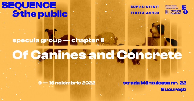 SEQUENCE & the public | Galeria Suprainfinit