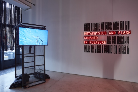 Apparatus 22 - Of Pleasure: The Learnings and Strange Fortunes of Atletica Ideal 