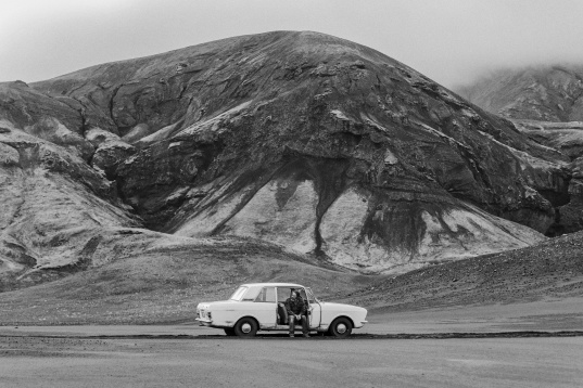 Cinematografia nordică, celebrată la TIFF 2023