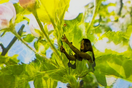 ”Cancer, Coregrafiat” turneu și premieră internațională la New Jersey și New York