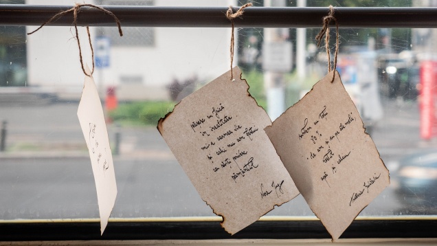 Tramvaiul Poeziei ajunge la Timișoara, pe 3 și 4 iunie