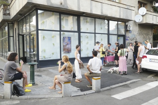 Sequence #16 Corner Field | Chlorys