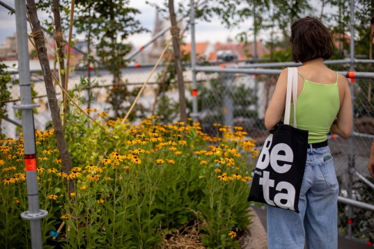 1306 de plante pentru Timișoara