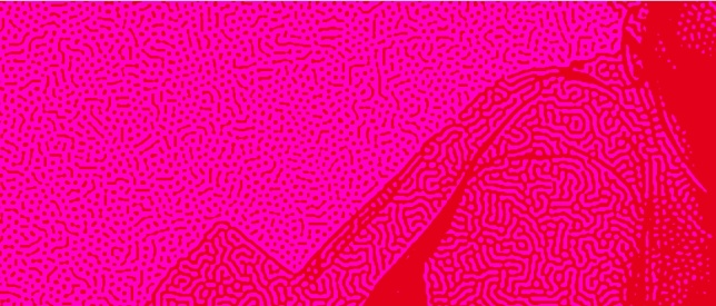 UniCredit Bank x RDW capsule merch collection 2024 | Open Call for Young Graphic Artists